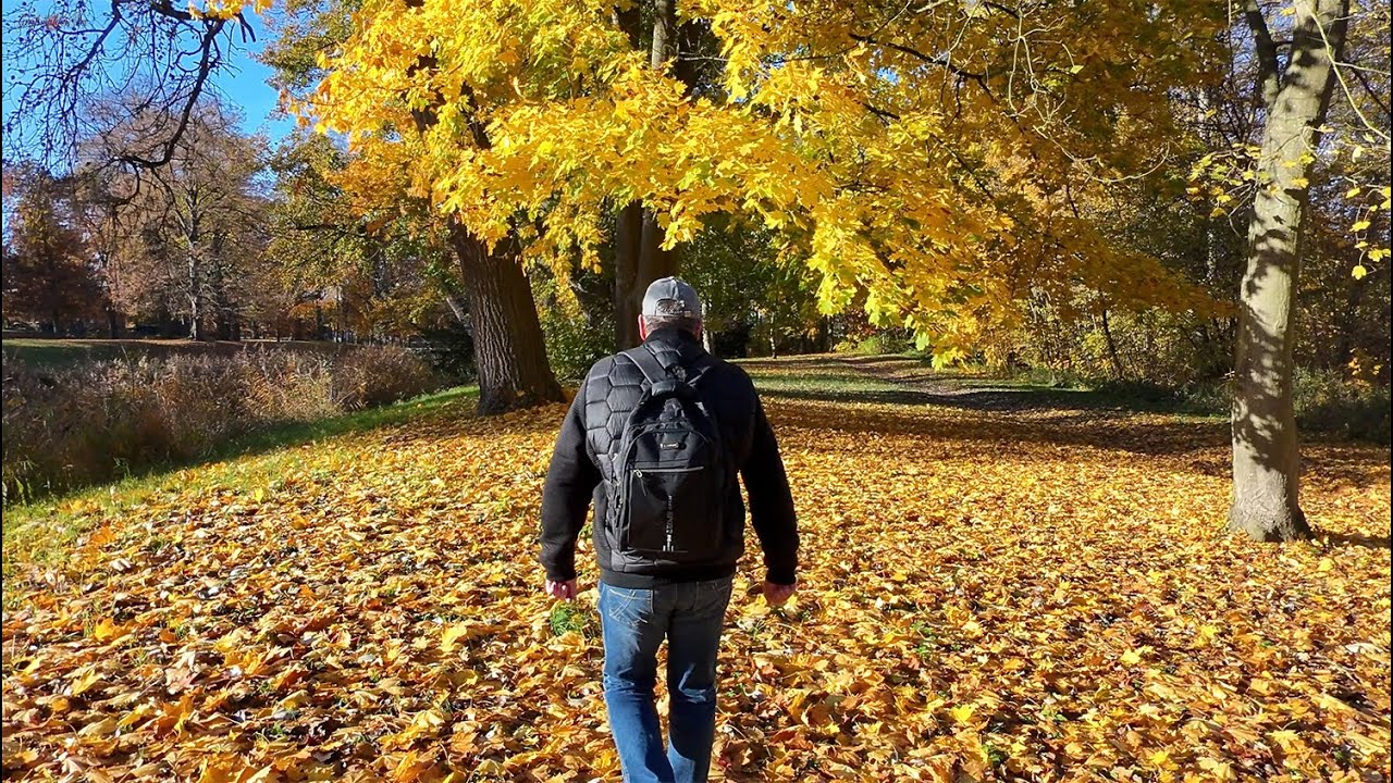Goldener Herbst im Schlosspark Griebenow