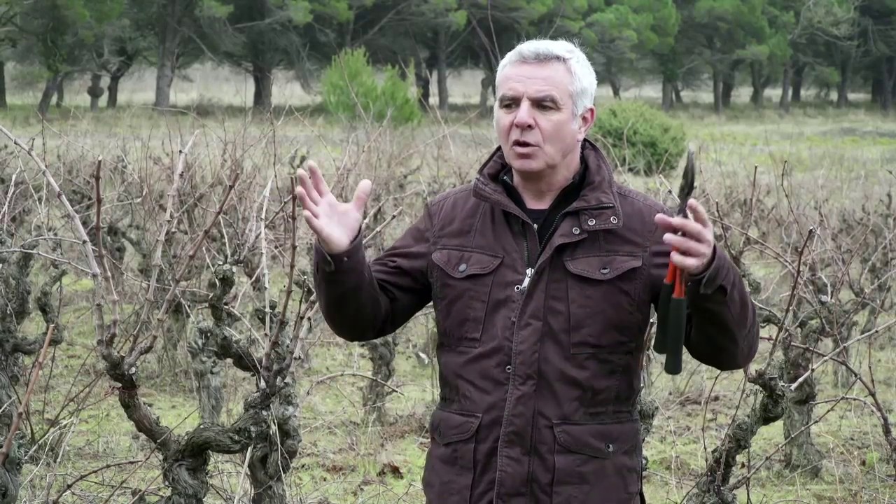 Christophe Bousquet : la taille en gobelet et la confusion sexuelle
