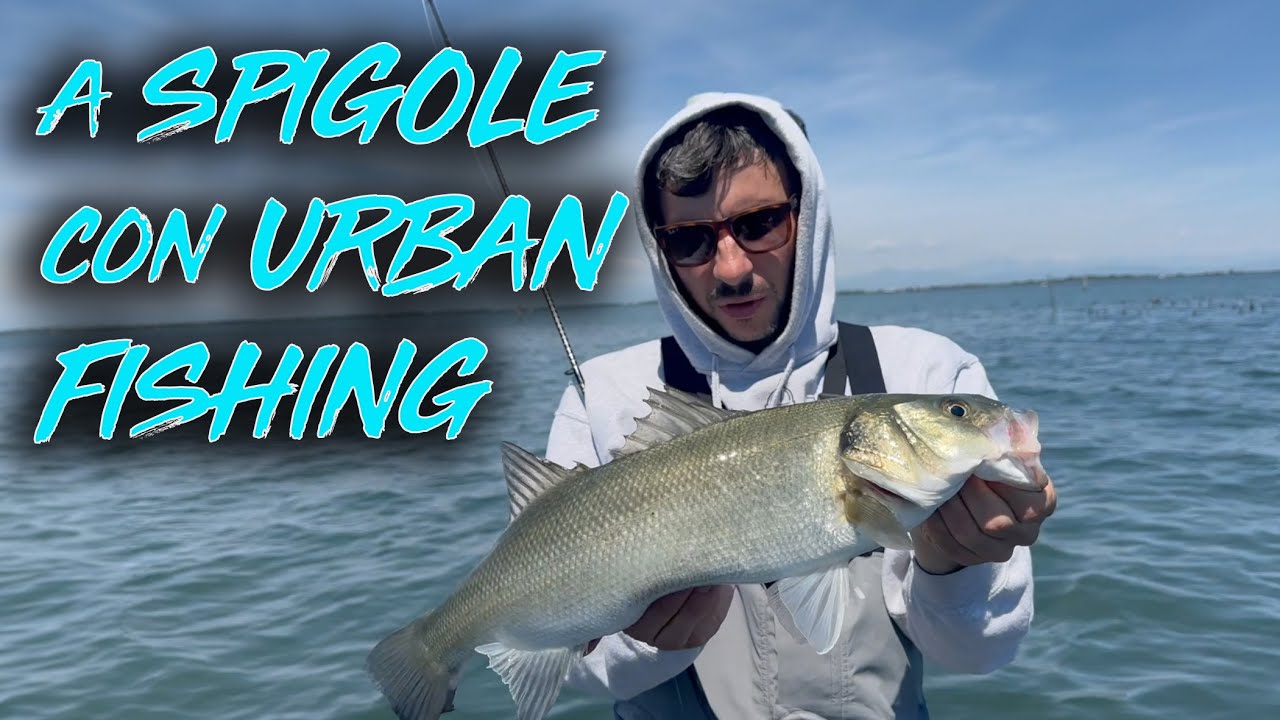 A pesca di Spigole con Federico Marrone di Urban Fishing