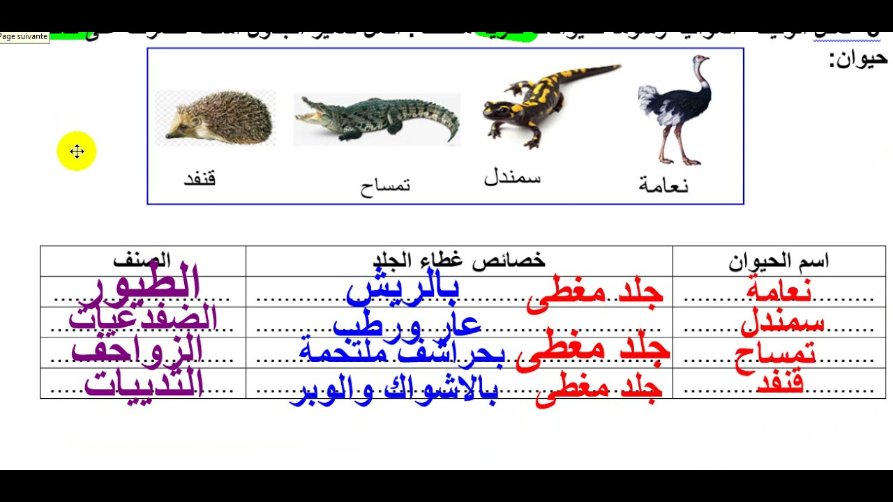 اصلاح الفرض التاليفي الثاني  2020 7  اساسي
