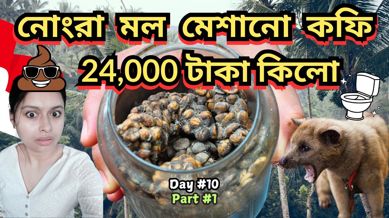 দশ লক্ষ সত্তর হাজার রুপিয়ার কফি কিনলাম 😱🤯 | Part 1 | Bali | Indonesia | Miss Bong Rover