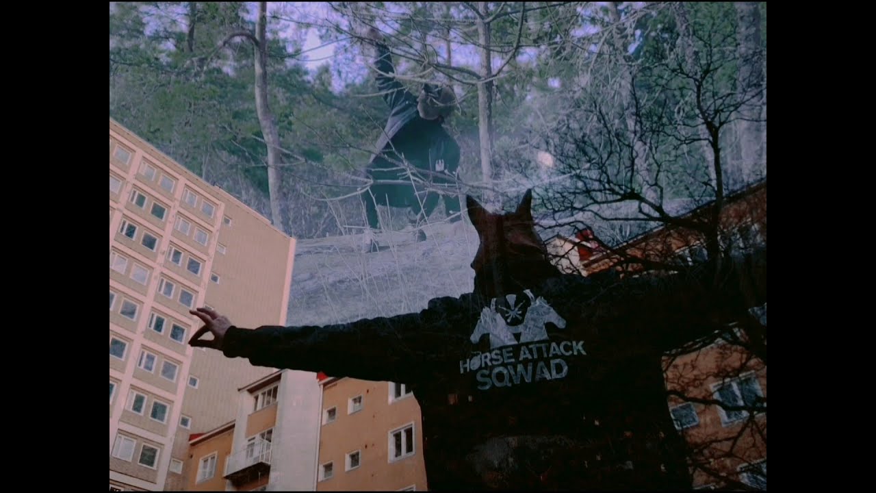Horse Attack Sqwad -  Kaunis päivä