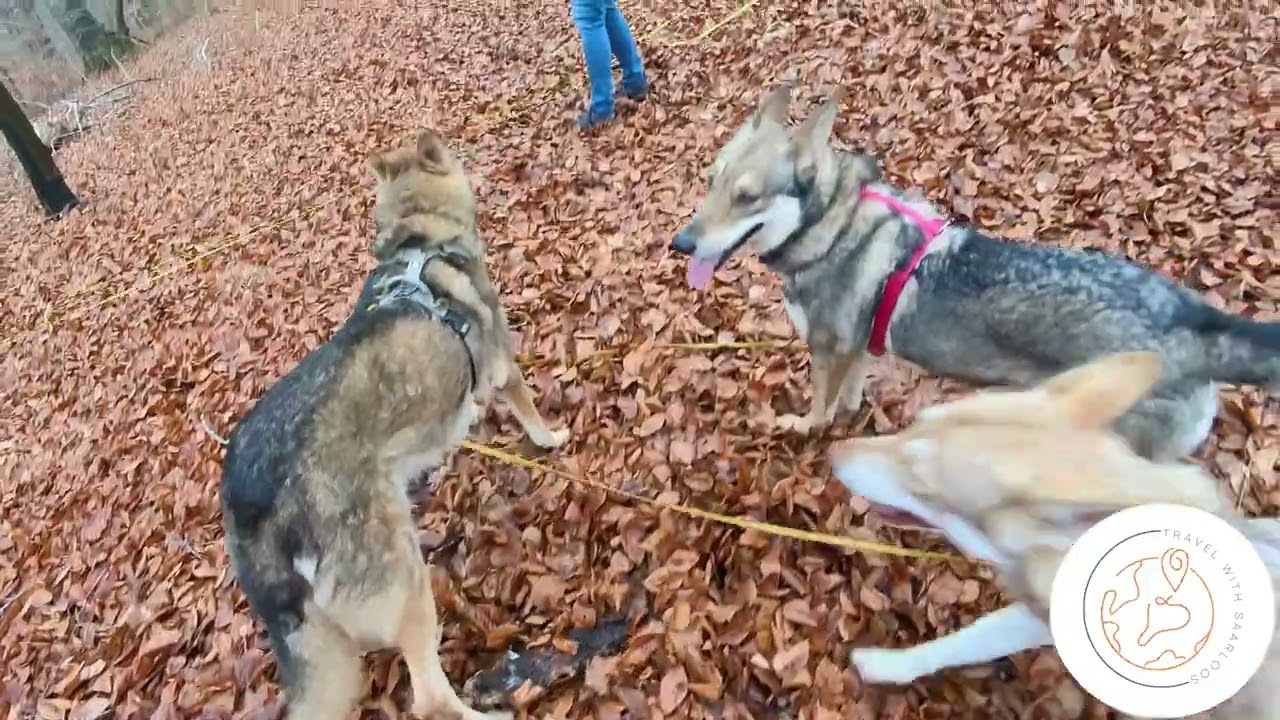 BALADE DU 28/12/2025