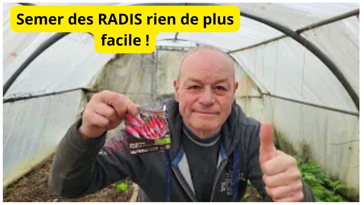 Au 24 février faire  un semis  de radis  !