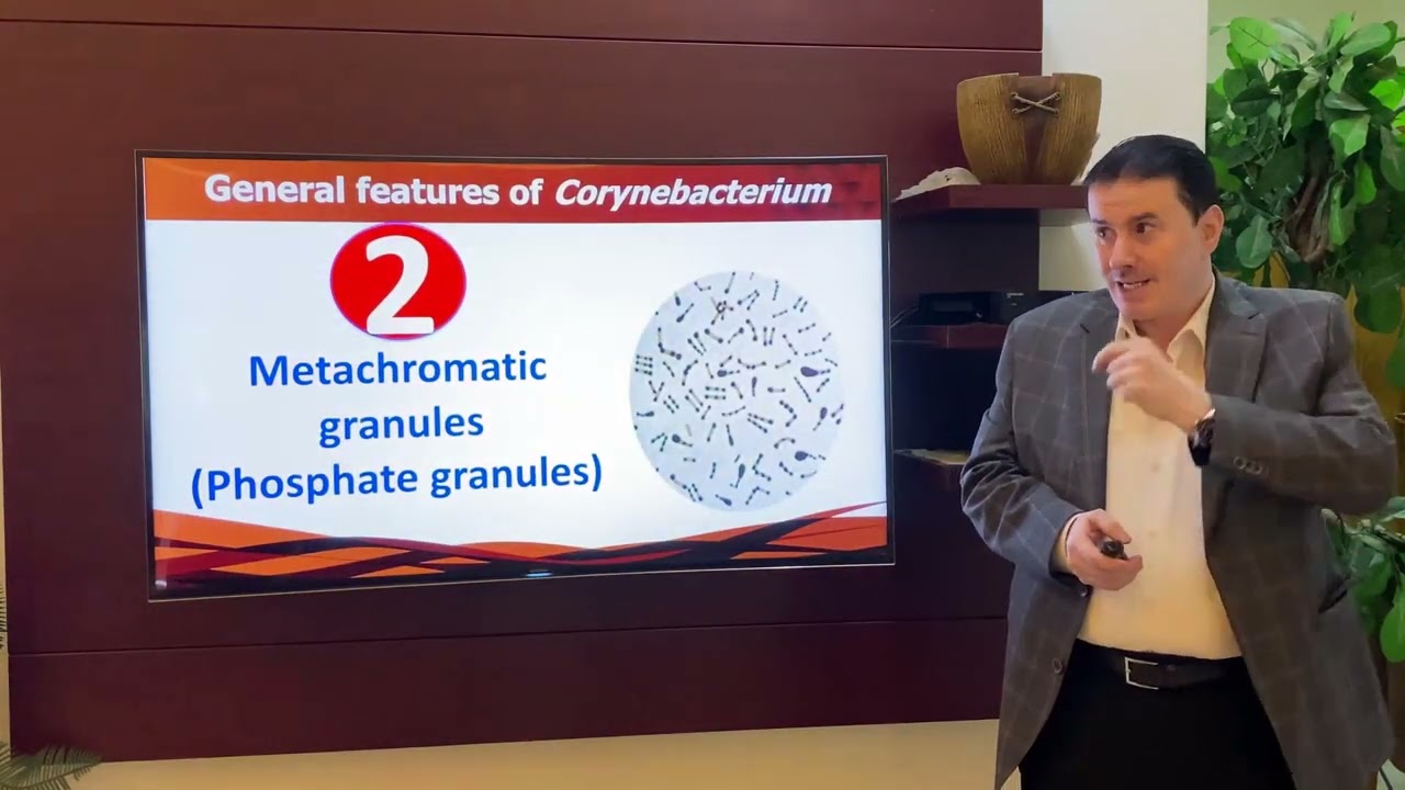 12 (1-6) Corynebacterium General features