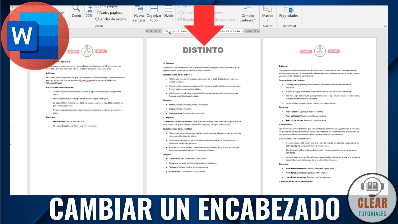 📝 C&oacute;mo Cambiar el ENCABEZADO de UNA SOLA P&aacute;gina en Word ✅(F&aacute;cil y R&aacute;pido)