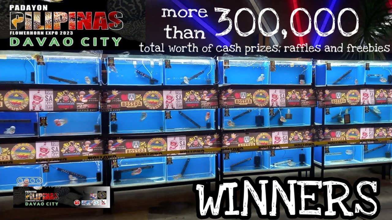 Padayon Pilipinas flowerhorn show winners