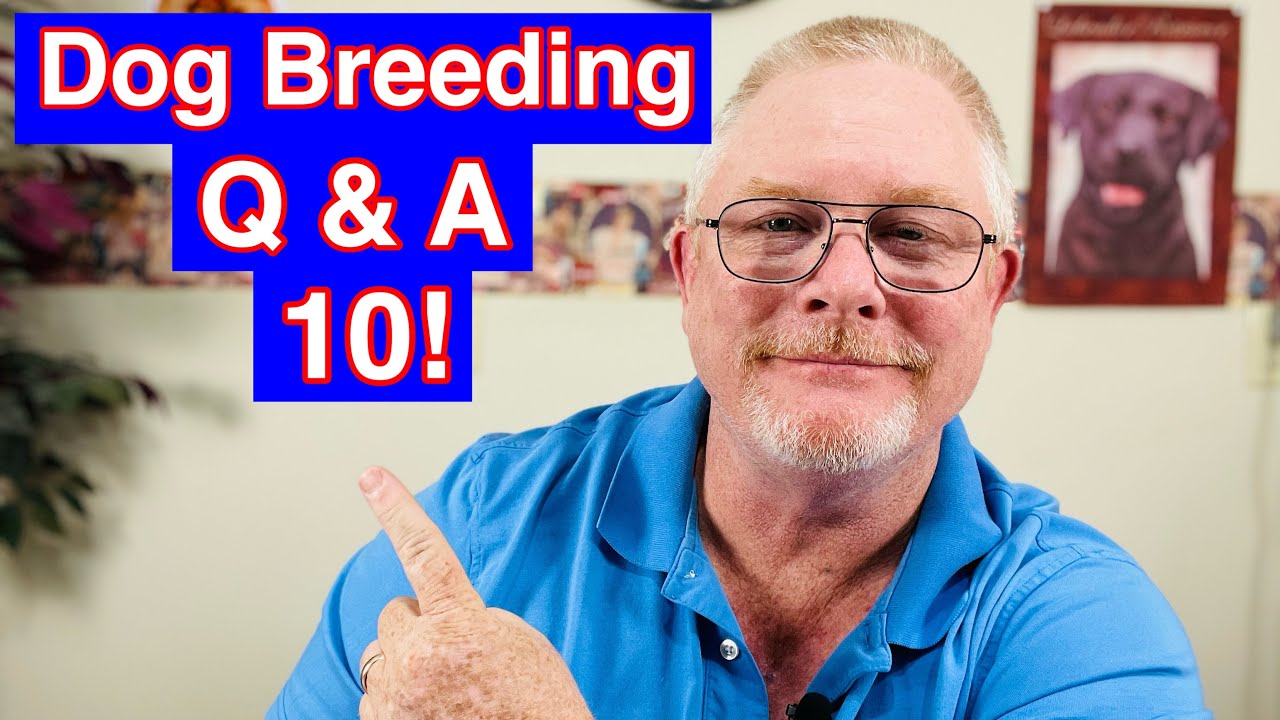 Unlocking the Secrets of Dog Breeding: Insider Tips In Puppy Market Research! #10