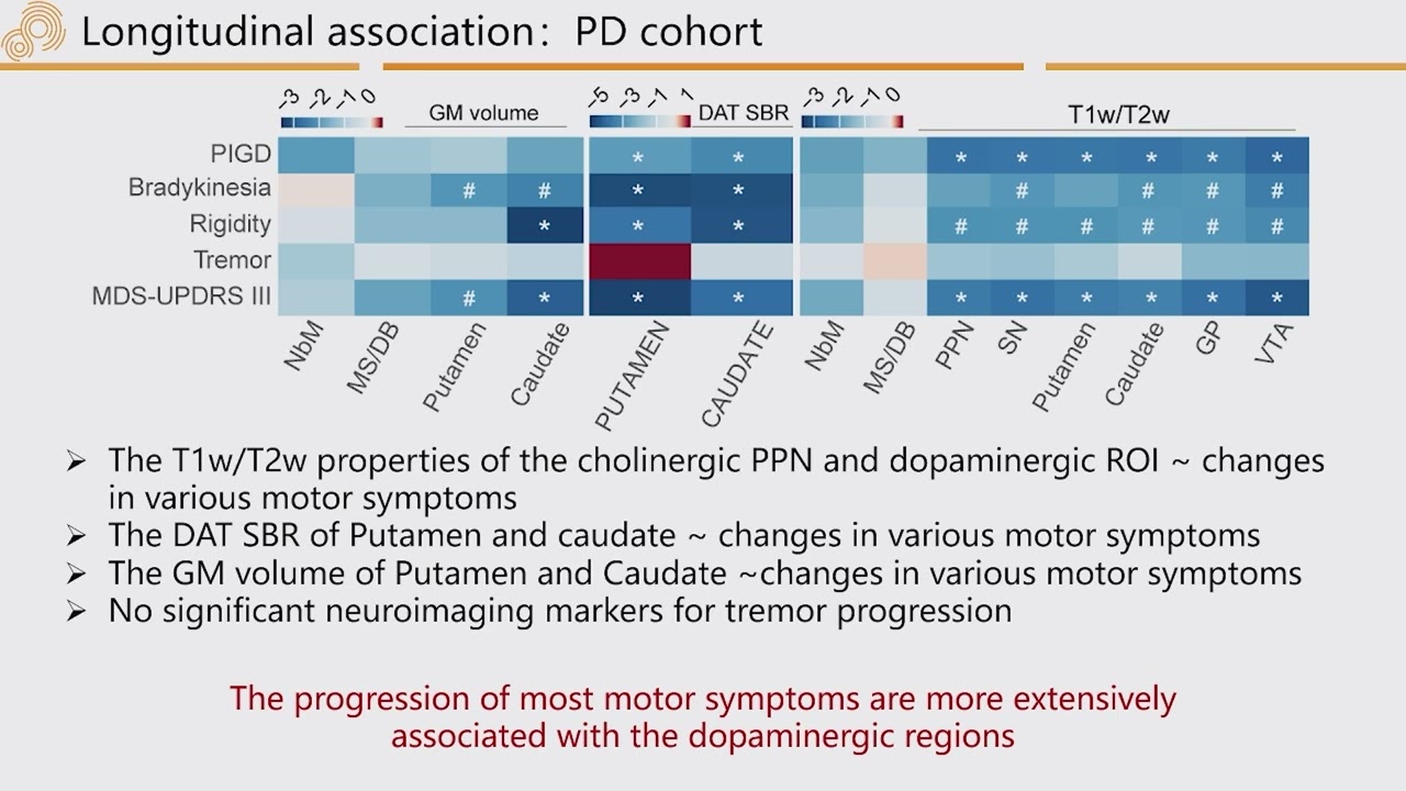 OHBM 2024 | Oral Session | Peng Ren |  Synergic cholinergic and dopaminergic role in motor symptom&hellip;