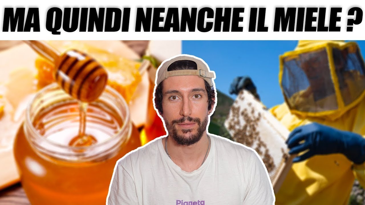 Perché i vegani non mangiano il miele?