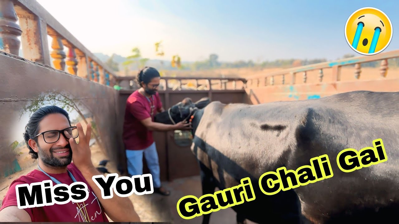 Gauri Chali Gai |Daily Vlog