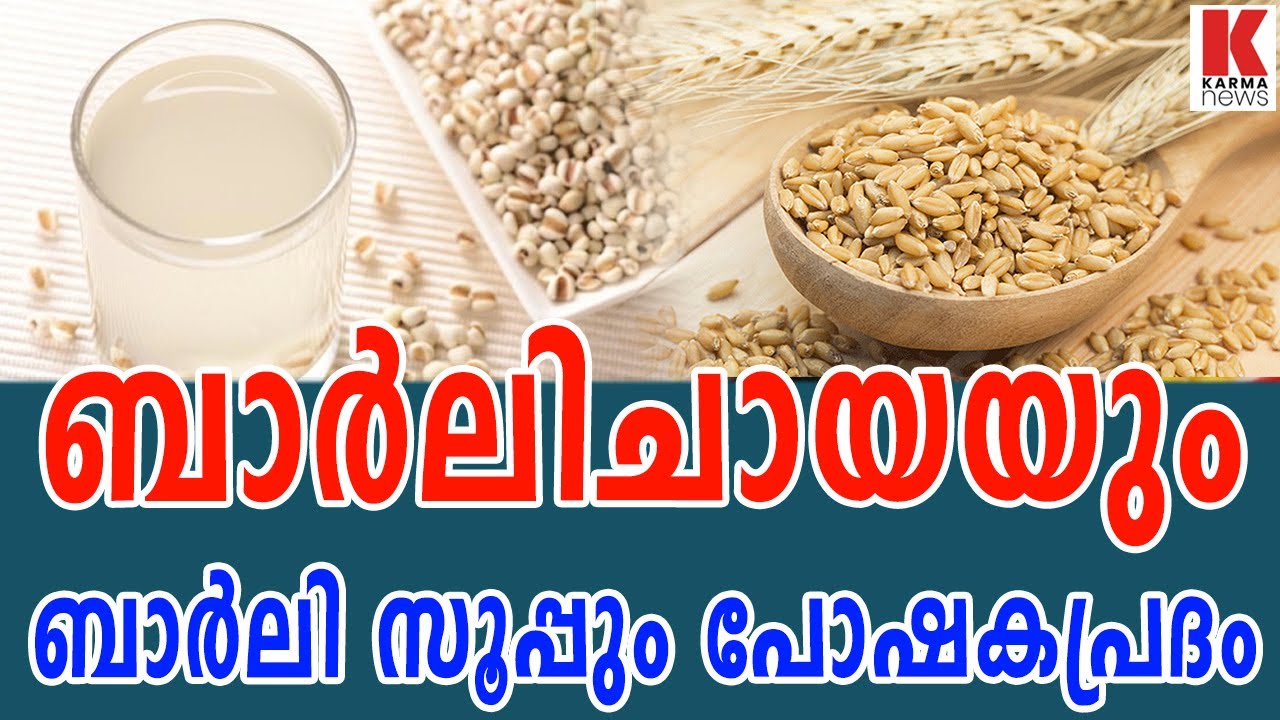 ബാർലിചായയും ബാർലി സൂപ്പും  പോഷകപ്രദം;| karma news