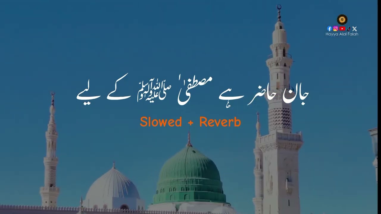 Jan Hazir Hai Mustafa Kay Liye | Slow & Reverb | New Naat 2025