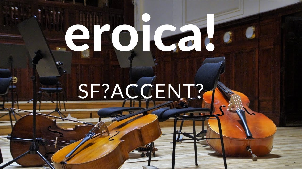 Double bass excerpt - Beethoven - Symphony No. 3 - Scherzo