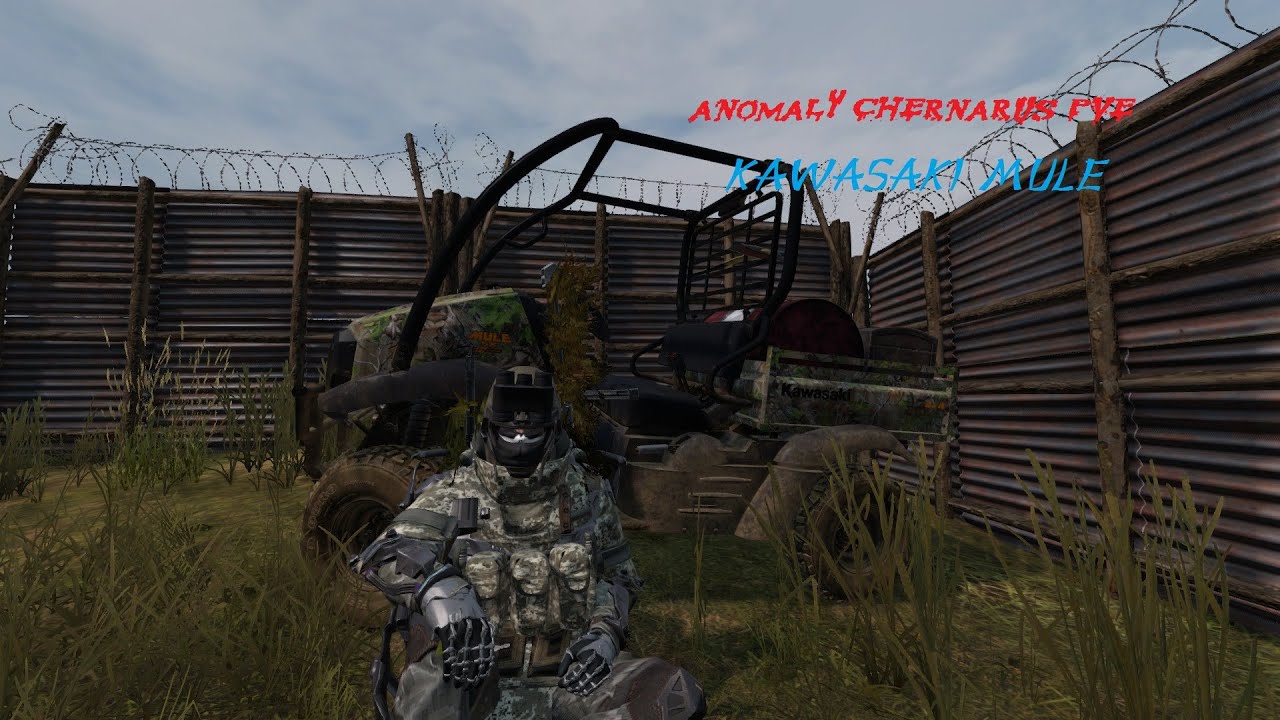 DayZ Anomaly Chernarus Pve: Дрыштопан  