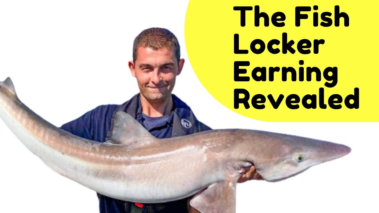 The Fish Locker Earning Revealed | How Much Money The Fish Locker Youtube Channel Makes |Motivation