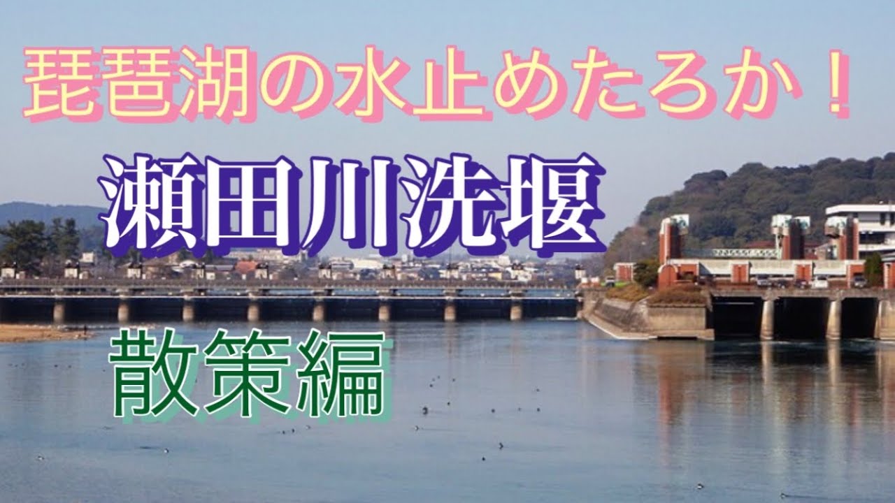 【滋賀から歴史探究】瀬田川洗堰編