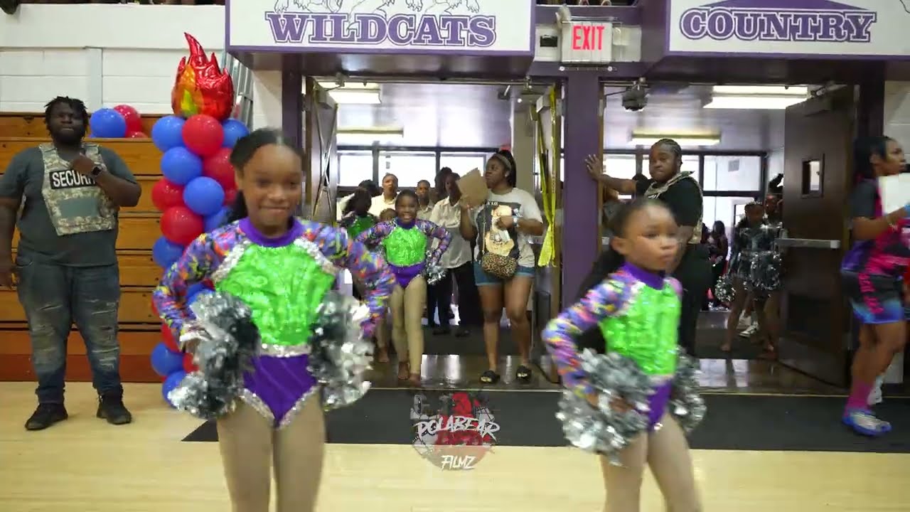 F3 | Jr POMS | Dance Force Elite | The MeltDown | 2025