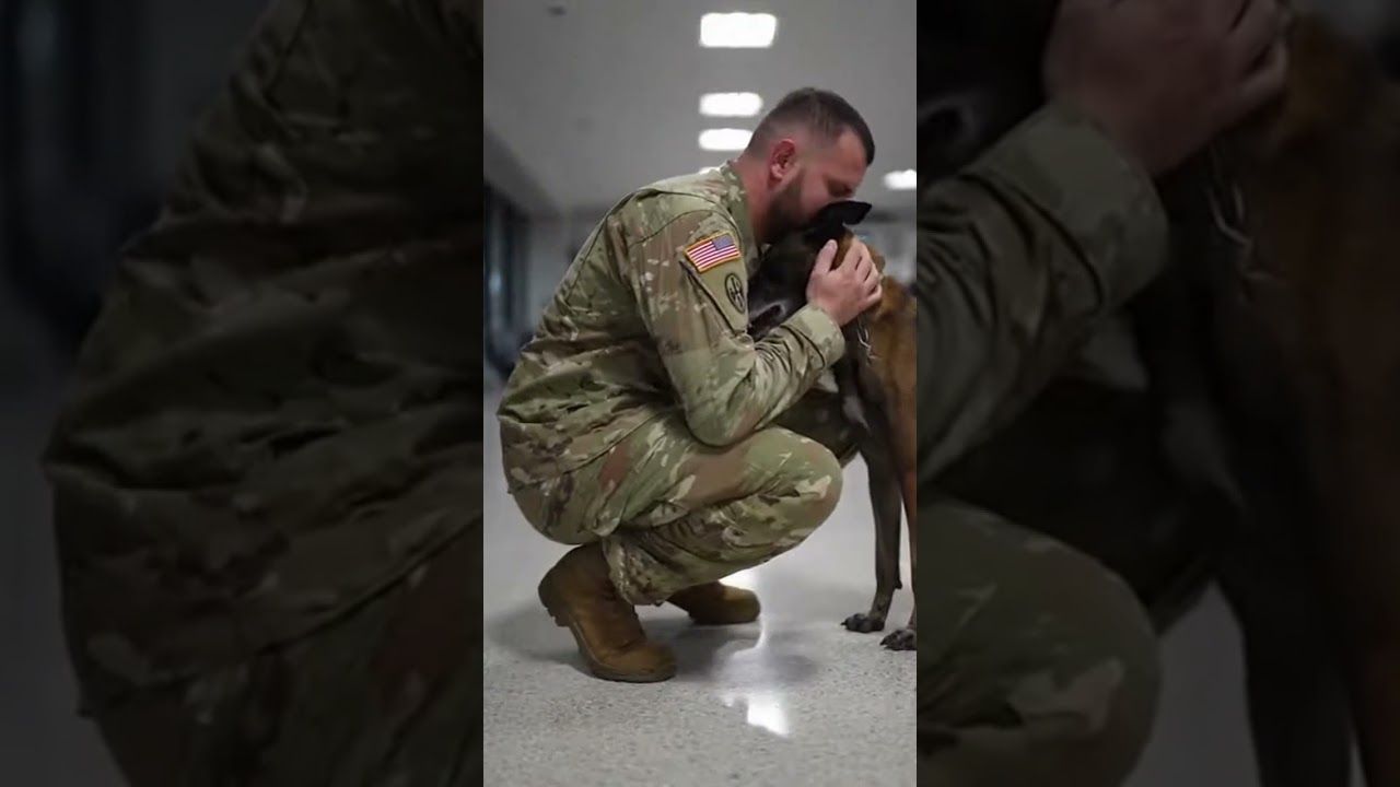 This military dog's tearful goodbye will break your heart 😭💔
