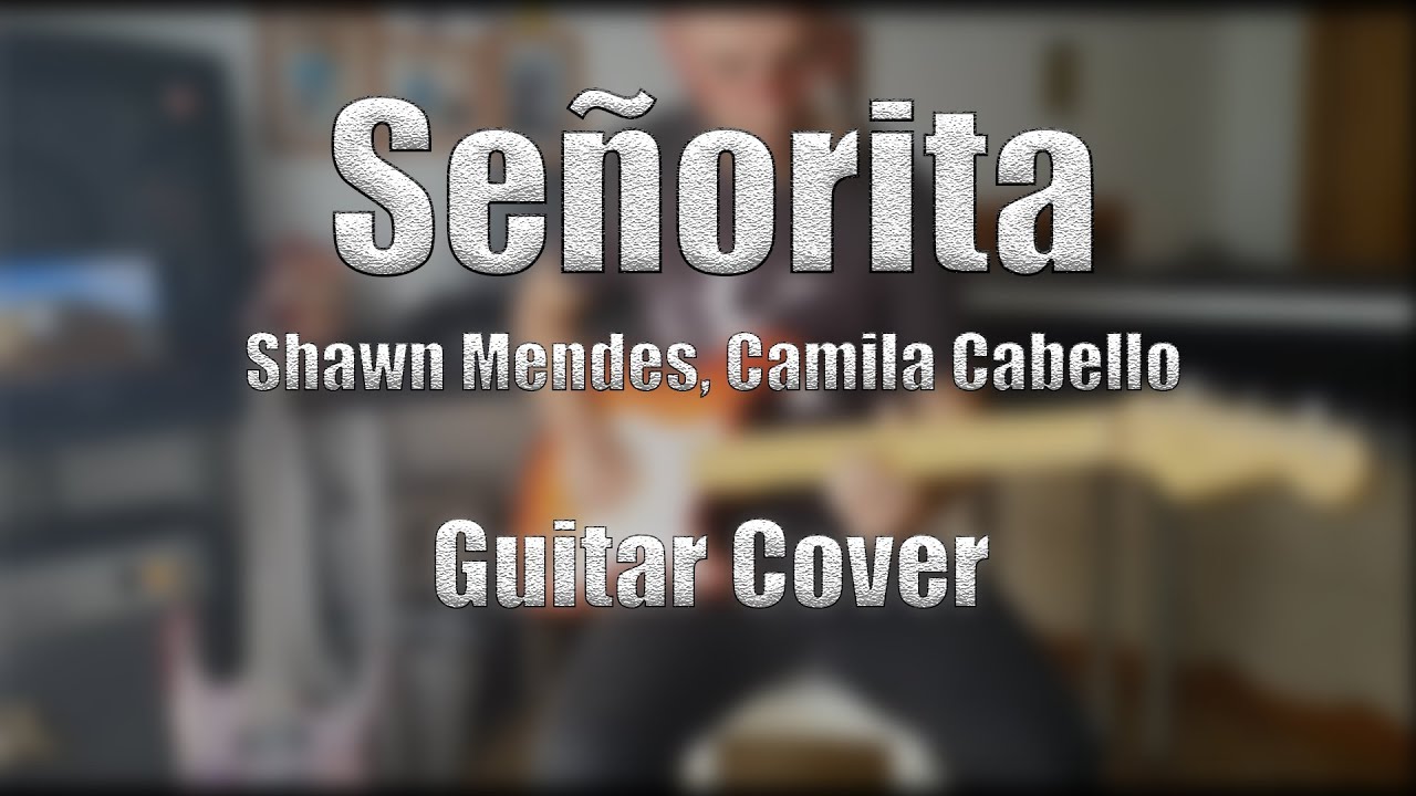 Shawn Mendes, Camila Cabello - Señorita (Guitar Cover by DimonStudio)