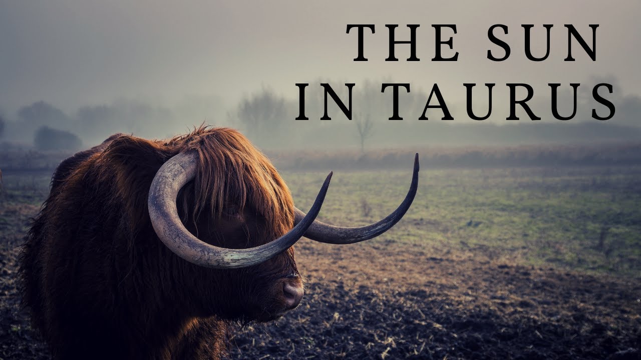 New Moon in Taurus and the Meaning of the Sun in Taurus
