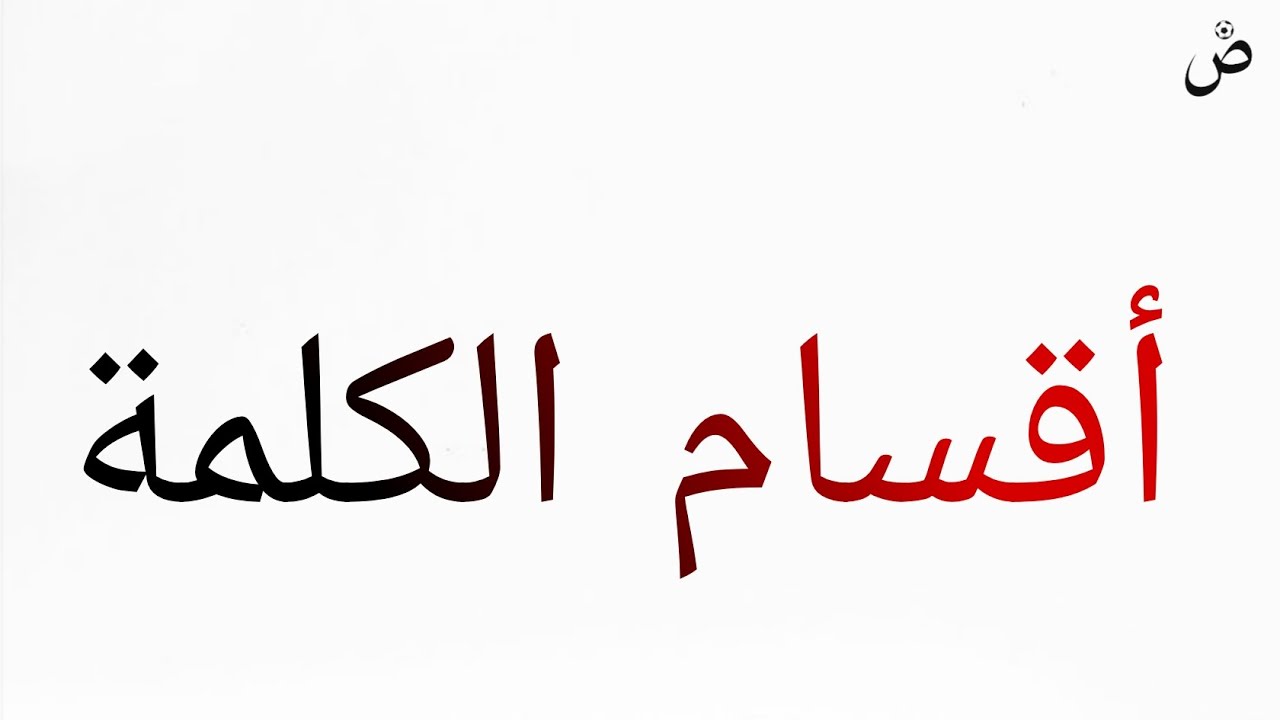 أقسام الكلمة | سيف القوضي