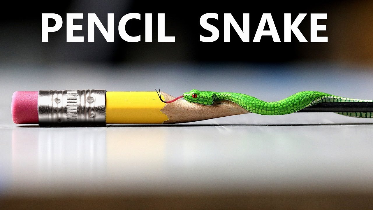 I Carve a Venomous Snake into a Pencil