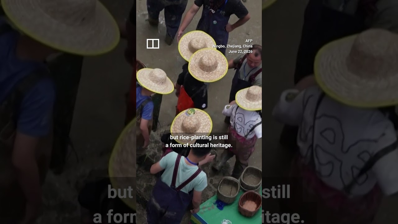Rice-planting event takes over mall in China