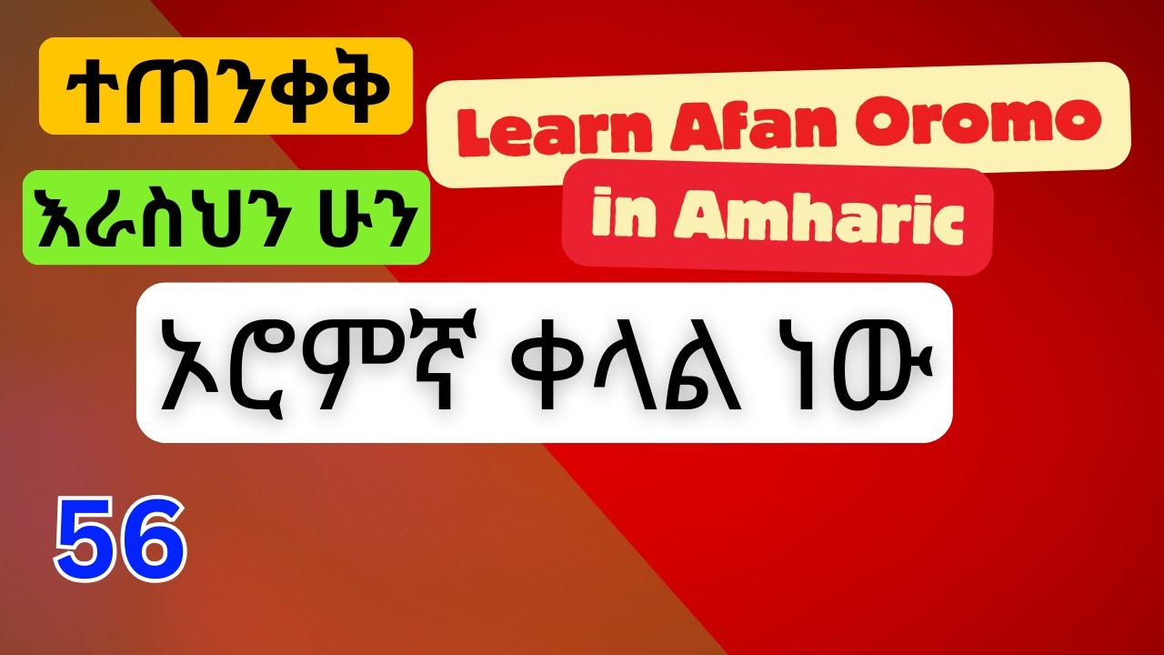 Oromo language to Amharic /እየተዝናኑ ይማሩ @fikremartube1221 #education