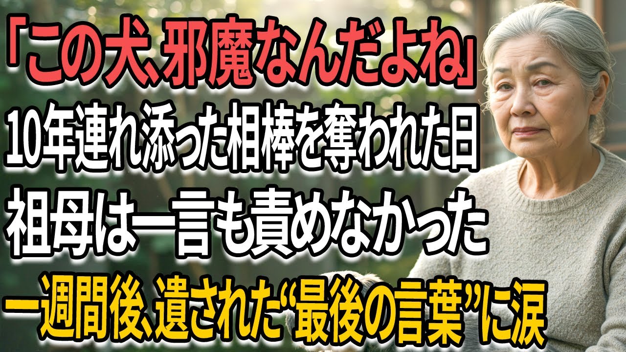 「この犬、邪魔なんだよね」10年寄り添った愛犬を捨てられたおばあちゃんが1週間後に残した“最後の言葉”に、嫁の後悔はもう遅すぎた