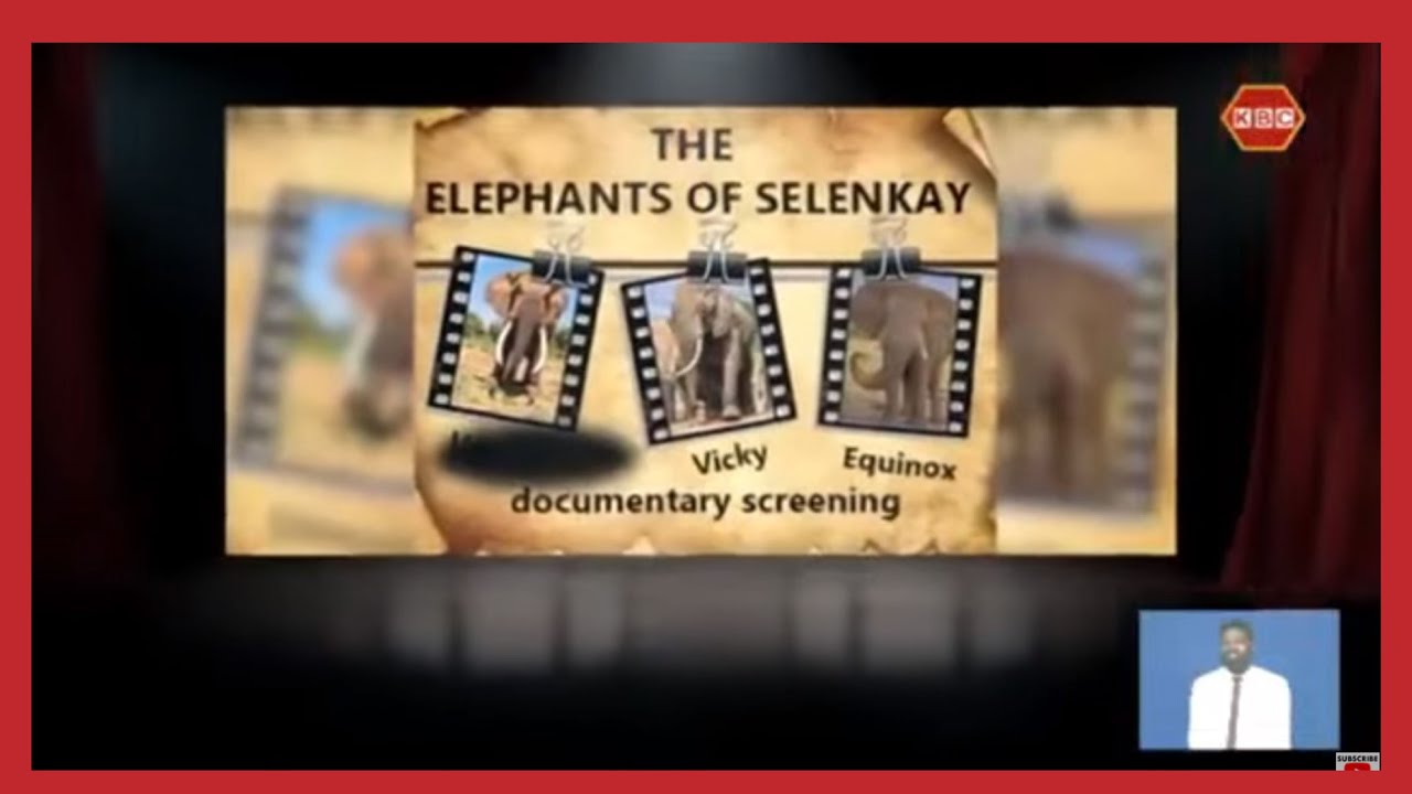 Cinema & Theatre | The Elephants of Selenkay