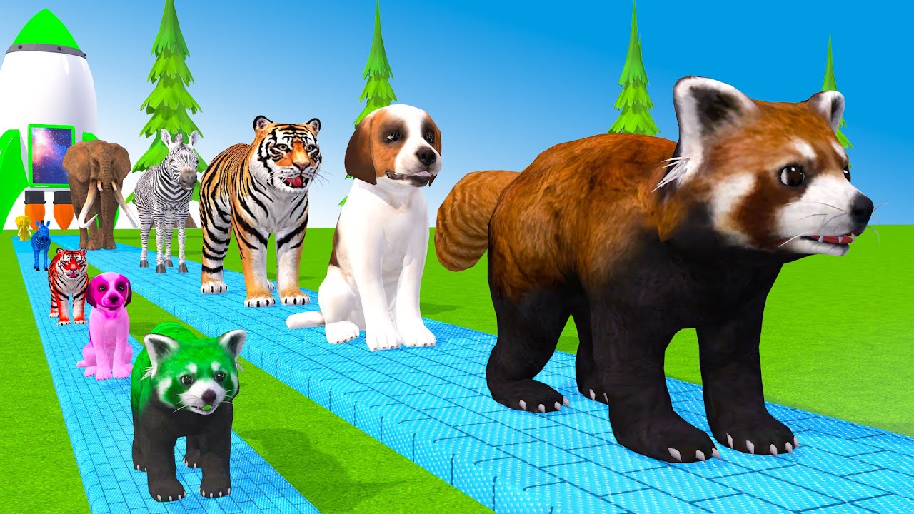 Long Slide Game With Cow Elephant Gorilla Hippopotamus Tiger 3d Animal Game Funny 3d Animals