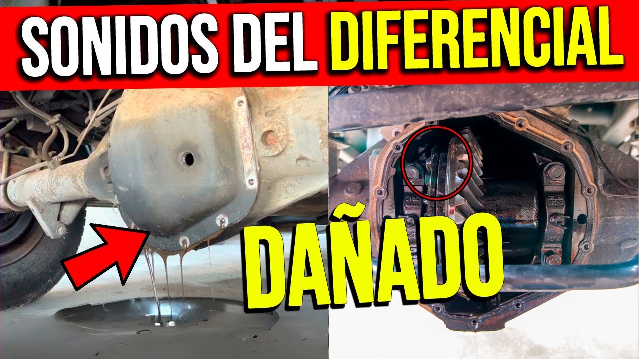 RUIDOS AL ACELERAR?  ZUMBA? VIBRACIONES? Síntomas y Sonidos de un diferencial DAÑADO