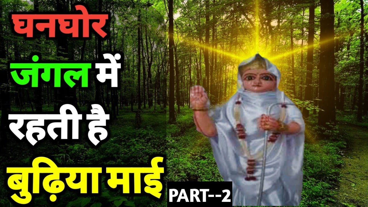 घनघोर जंगल में रहती है बुढ़िया माई#kushmijungle#viralvideos
