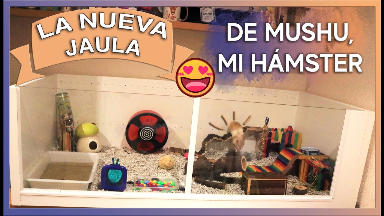 NUEVA JAULA DE MADERA DE 130 CM para mi HÁMSTER | Ideas jaulas (Ikea, Tupper jaula...)| MOA's World