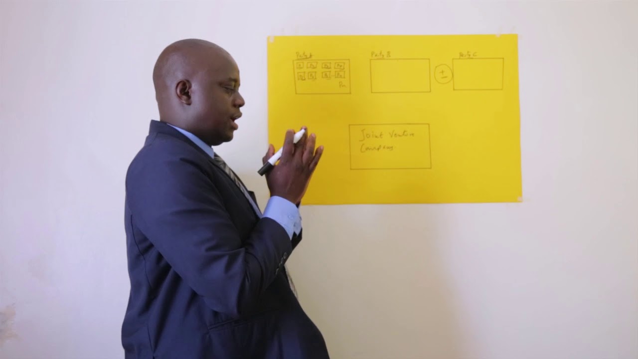 WHAT IS A JOINT VENTURE?