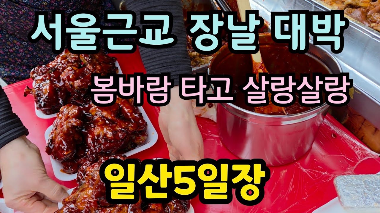 장날 끝판왕? 일산 오일장 시장 구경