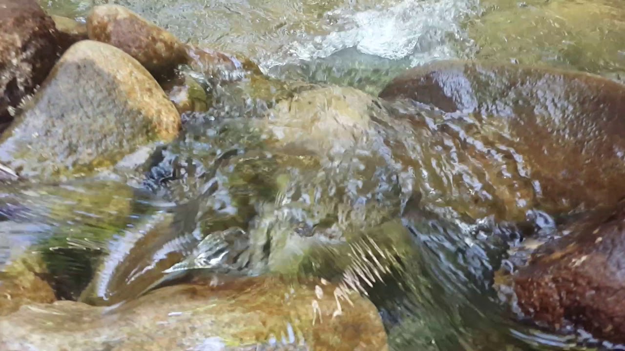 Victor Shauberger inspired creek dam .