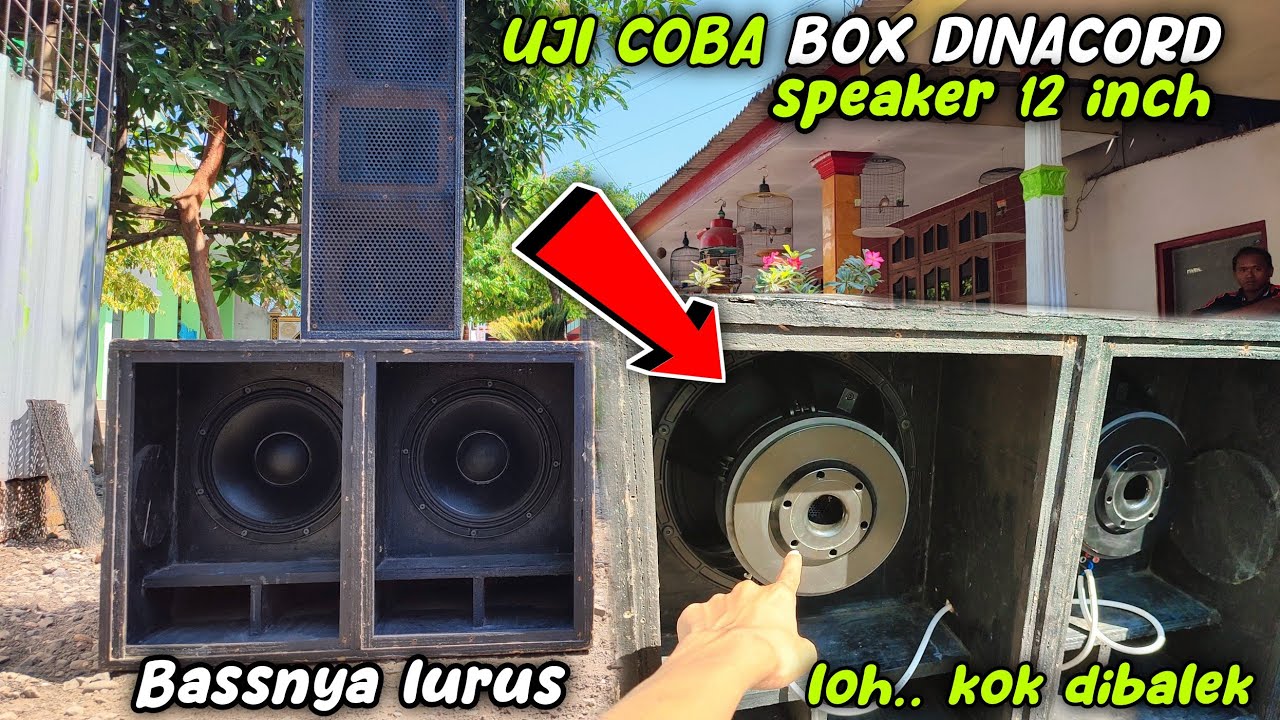 Beda dari yang lain || uji coba box dinacord 12 inch