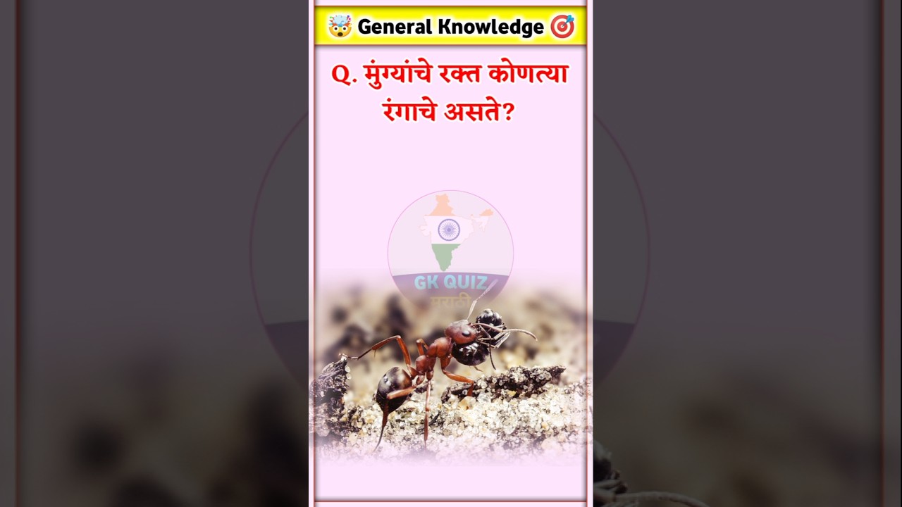 जनरल नॉलेज | Quiz 2024 | General Knowledge Question | Daily Current Affairs | GK QUIZ MARATHI