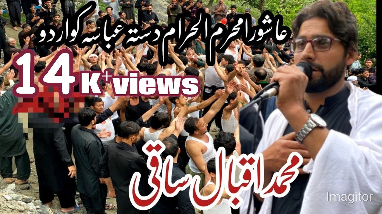 اسد عاشورا دستہ عباسیہ کواردو