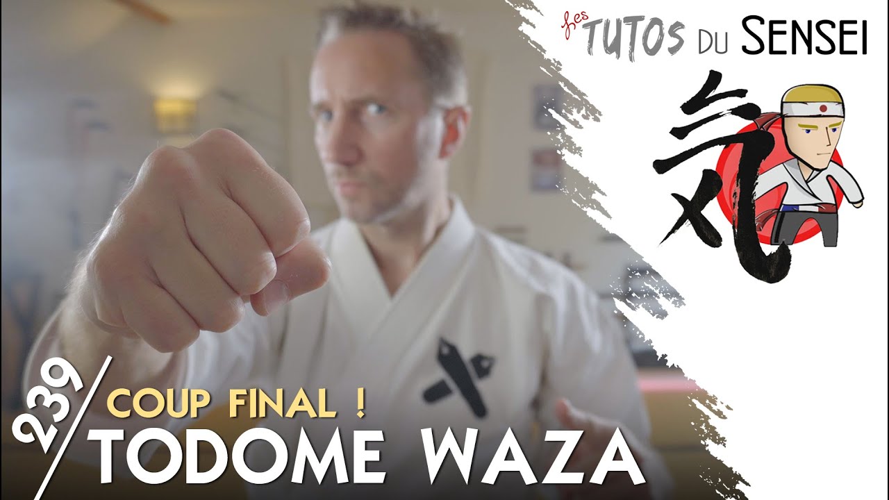 TODOME WAZA : Le Coup Final !