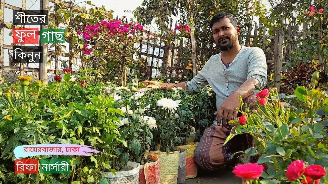 Winter Flower Plants Price In Rifa Nursery | শীতের ফুল গাছ কিনুন | Gardening Bangladesh