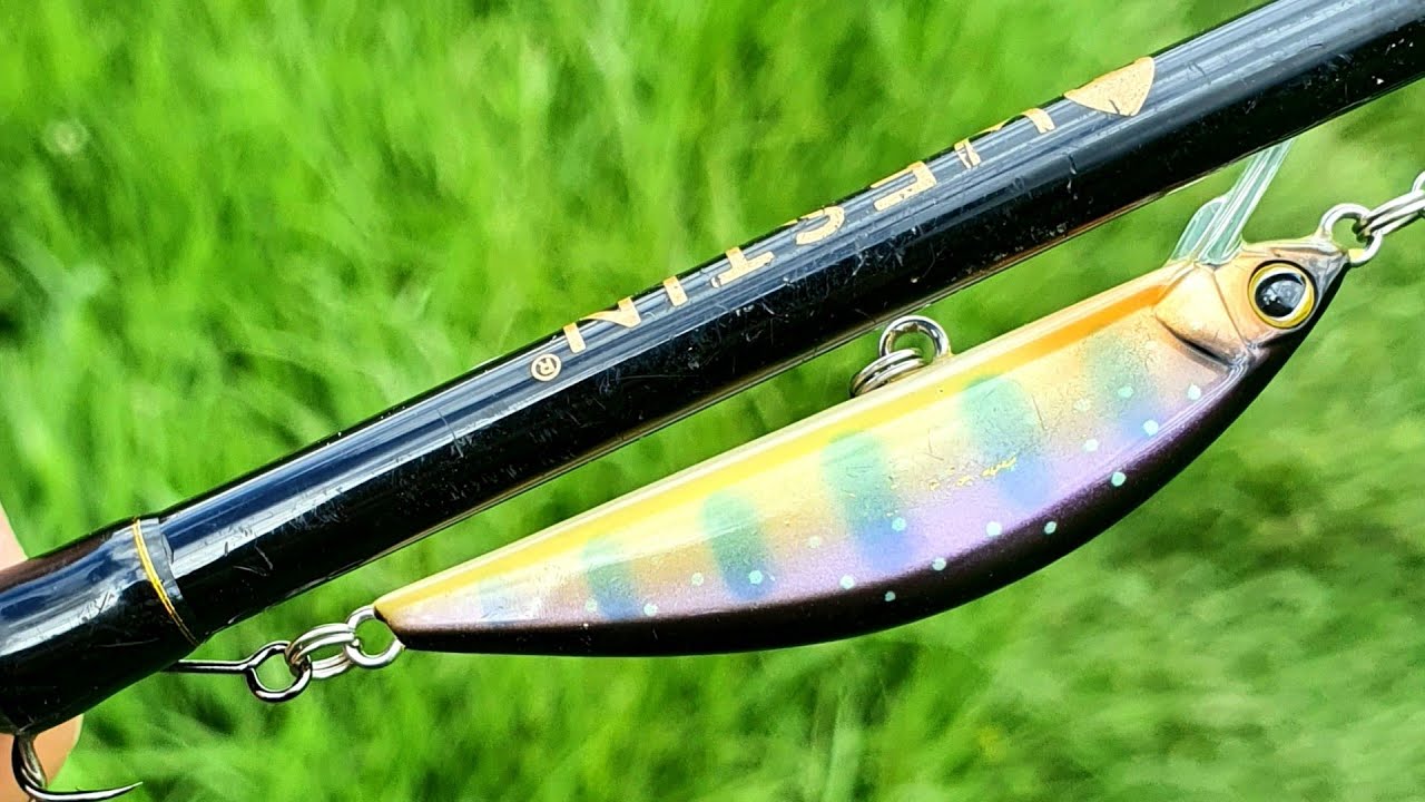 Jackall Timon Tricoroll 55S | Probably My Best Trout Lure For This Year!!!