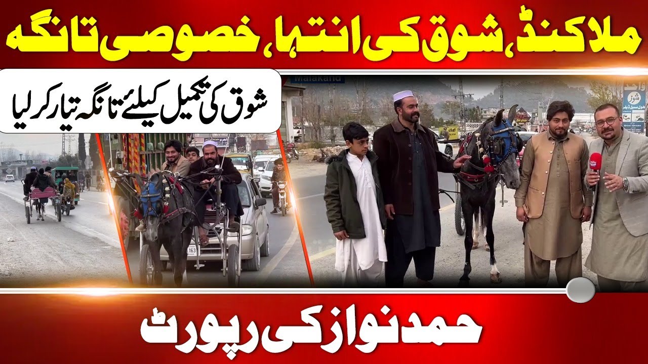 Malakand: Passion Beyond Limits | Man Builds Special Horse Cart to Fulfill His Dream