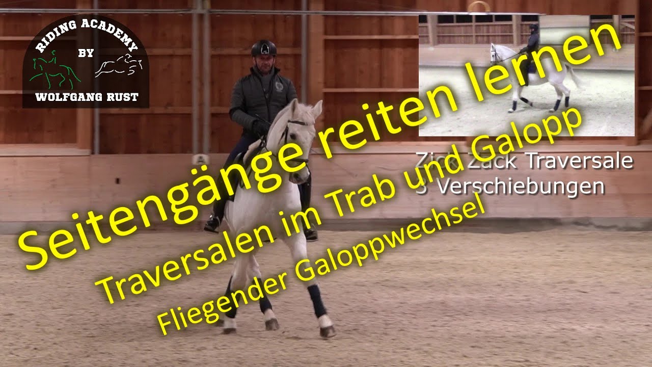 F61 Die Traversale: Im Trab und Galopp gezeigt und erklärt! Seitengänge mit Pferden richtig Reiten