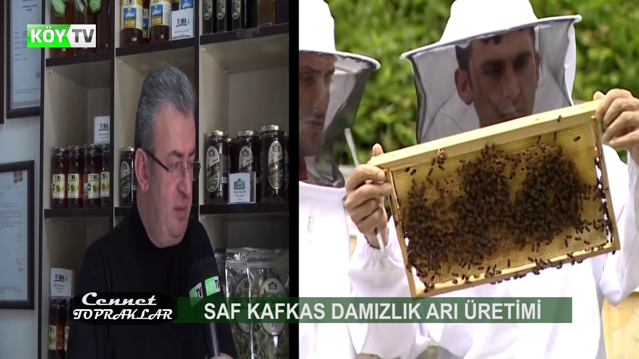 MACAHEL ARICILIK ! Cennet Topraklar