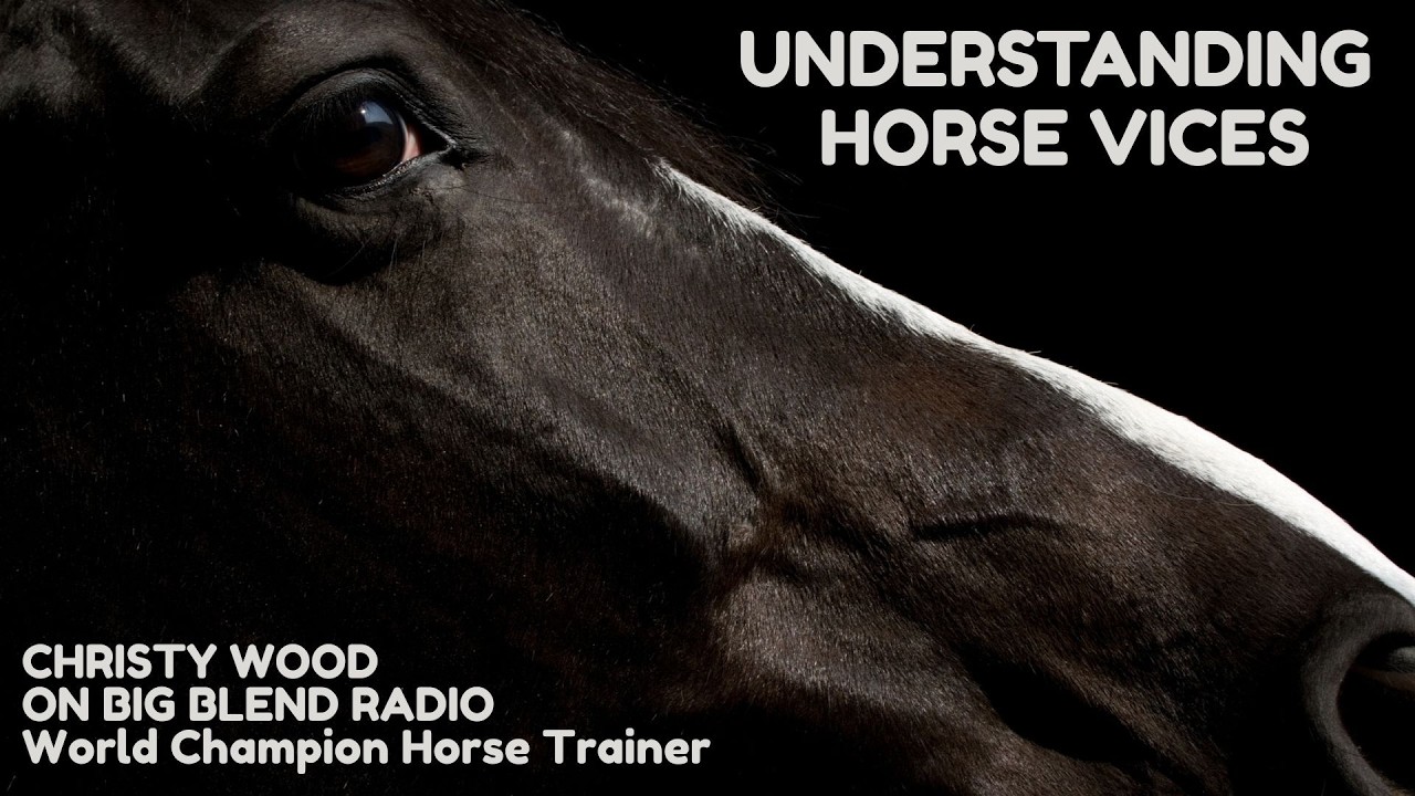 Understanding Horses Vices from Cribbing to Weaving