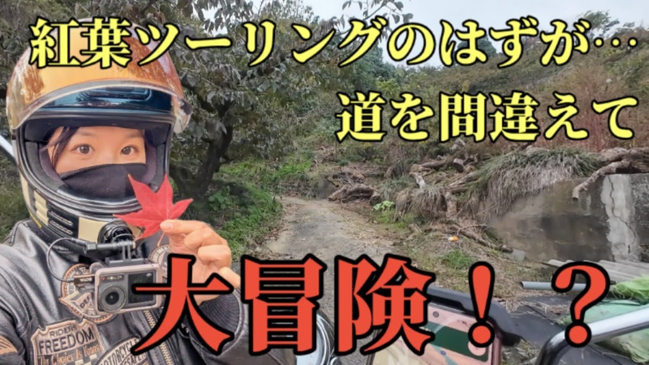 道に迷いまくった高野山麓スタンプラリーの旅【バイク女子 和歌山 高野山 橋本市 九度山 紅葉】