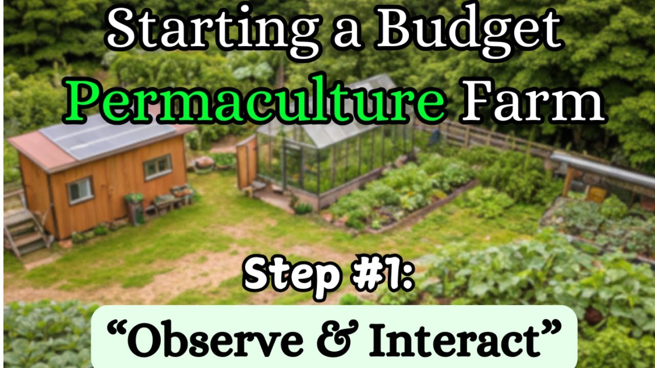 Starting a Permaculture Farm - Step 1: Observe & Interact